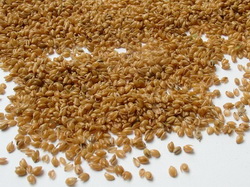 I will buy cleaned millet husk