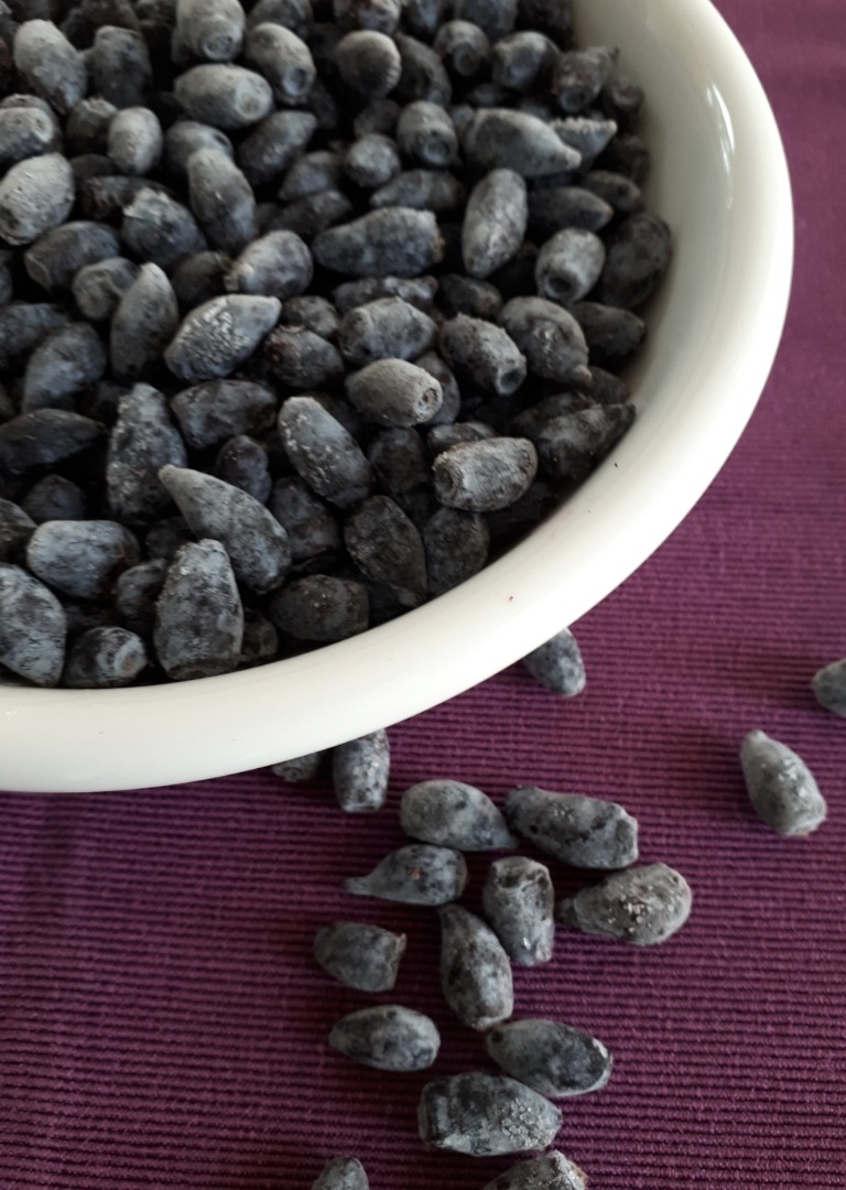 Kamchatka berry fruit