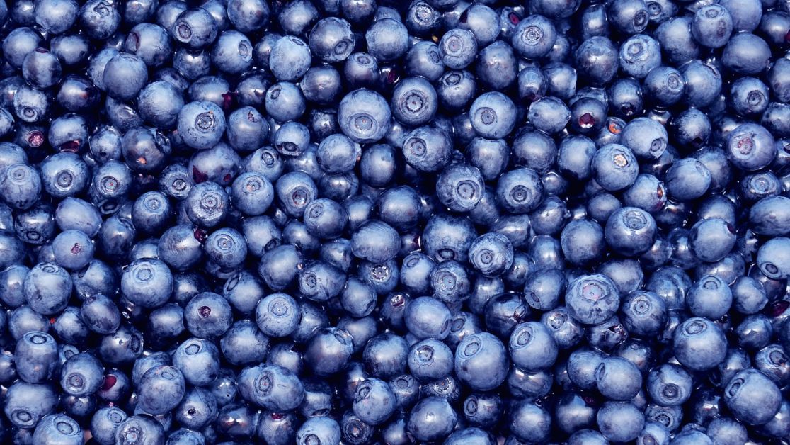 Buy blueberries, any packaging and sticker, large quantities available