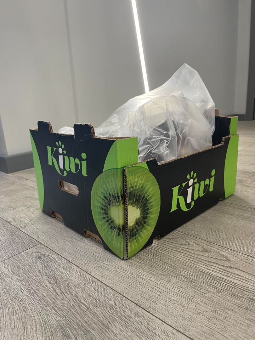 We are kiwifruit producers and the company we founded also deals with the storage, sorting, packaging and sale of the fruit
