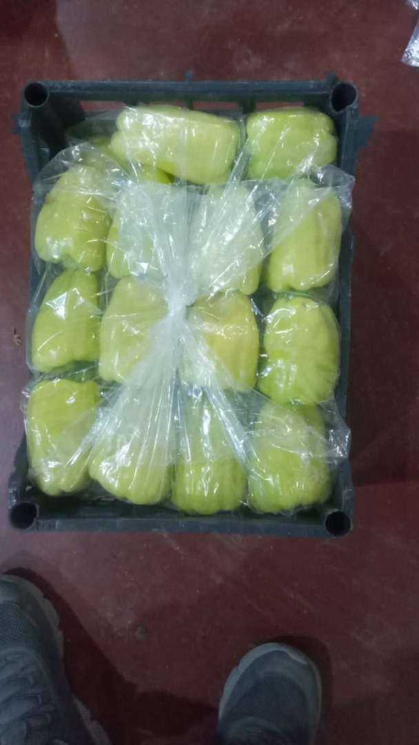 Premium quality pepper from Albania ready to export