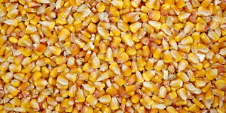 We sell grain crops: - corn - barley - wheat 4th class Packing: embankment or big-bag Pickup or delivery to you