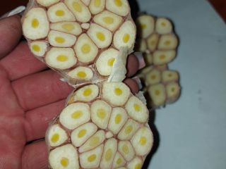 We offer you garlic, which is perfect for pickling.