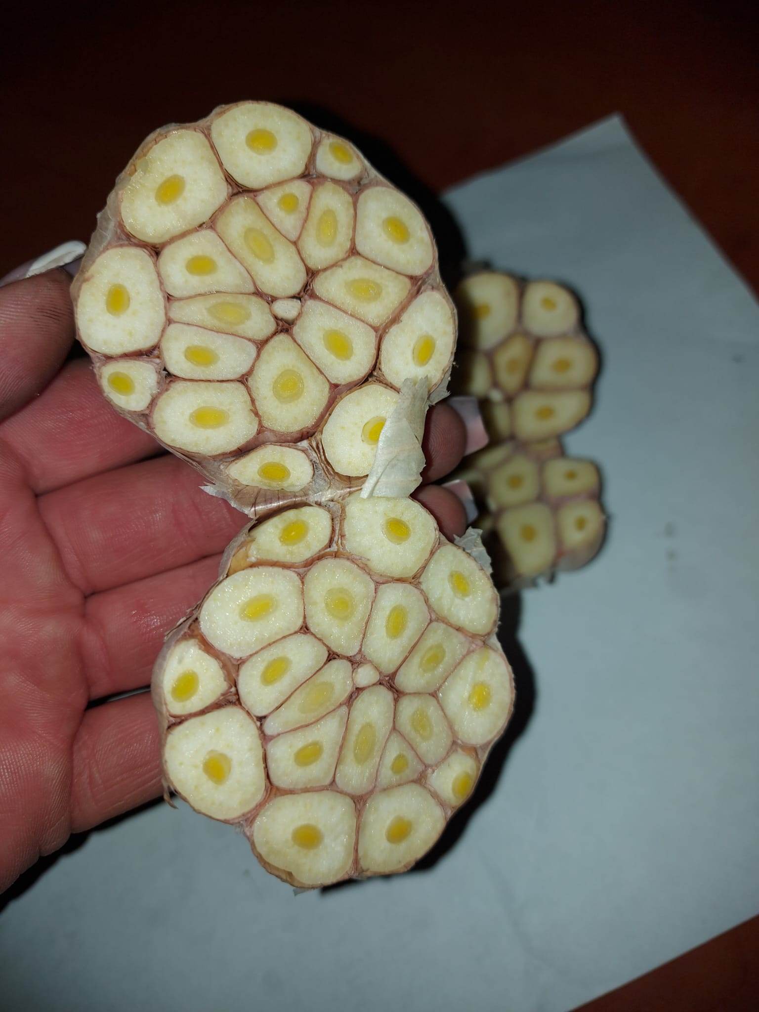 We offer you garlic, which is perfect for pickling