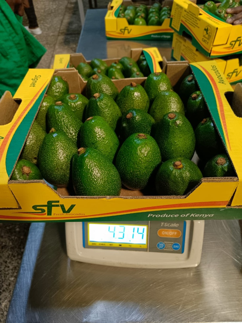 I am selling Fuerte avocados, imported from Kenya, size 18-22