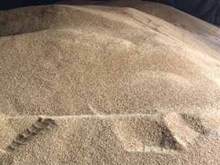 Good morning, I have spring barley for sale about