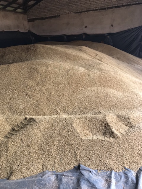 Good morning, I have to sell spring barley about 30 tons
