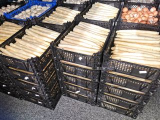 Looking for suppliers of white asparagus.