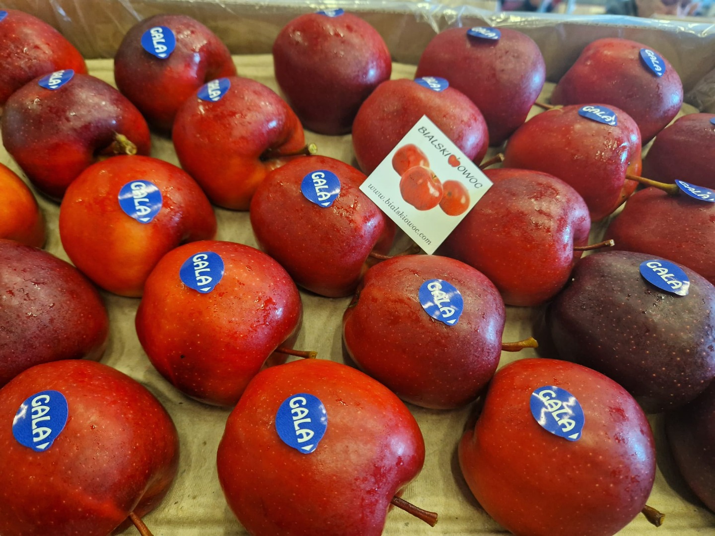 We offer various types of apples and pears as well as seasonal soft fruits