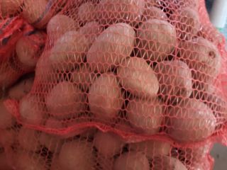 I will sell a nice fresh hard edible potato,
