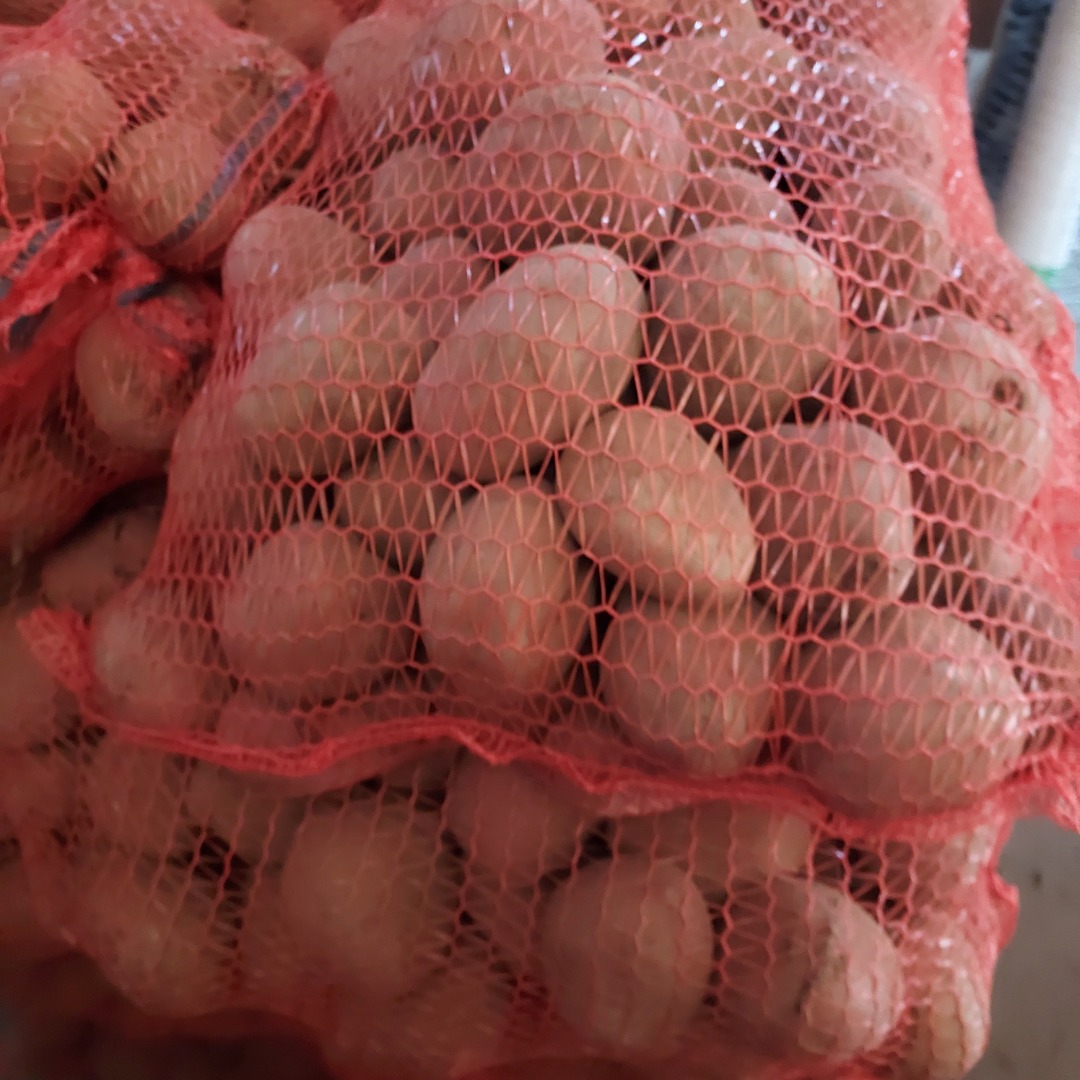 I will sell a nice fresh hard edible potato, packed in 15 kg bags, ready to be picked up right away, Bellarosa variety with bags and 38 lorda