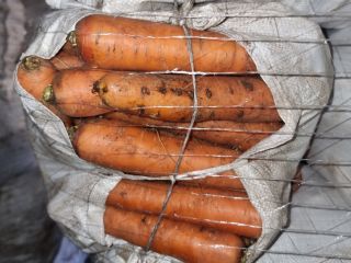 I will sell dirty carrots packed in bags. 100