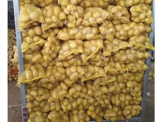 All Sizes Wholesale Fresh Potato For Sale 1.Smooth and