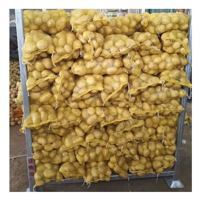 All Sizes Wholesale Fresh Potato For Sale 1.Smooth and shiny surface, yellow fresh