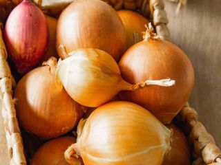 100% YELLOW FRESH ONION - HIGH QUALITY Fresh yello