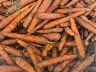 Carrot Commercial or industrial quality Packing sewn net 10,
