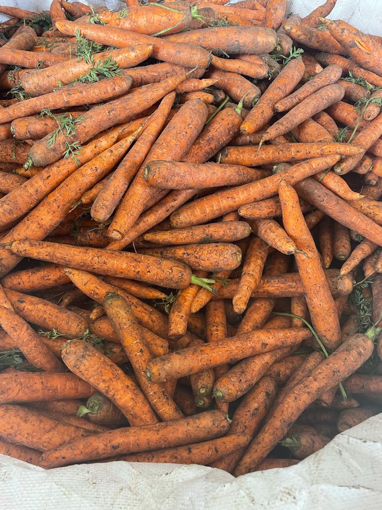 Carrot Commercial or industrial quality Packing sewn net 10, 15, 20 kg or big beg 1 ton Caliber from 2.5 to 4.5 Washed or unwashed carrots Everything is