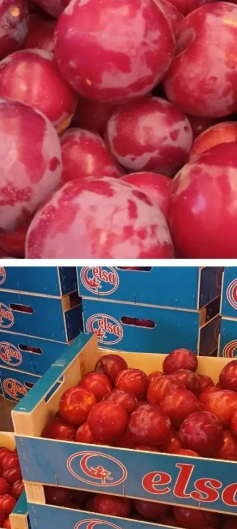 producers of nectarines, yellow flesh peaches and persimmons in Spain, credit caution or others, for more information
