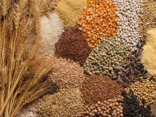 Our company is engaged in the export of agricultural