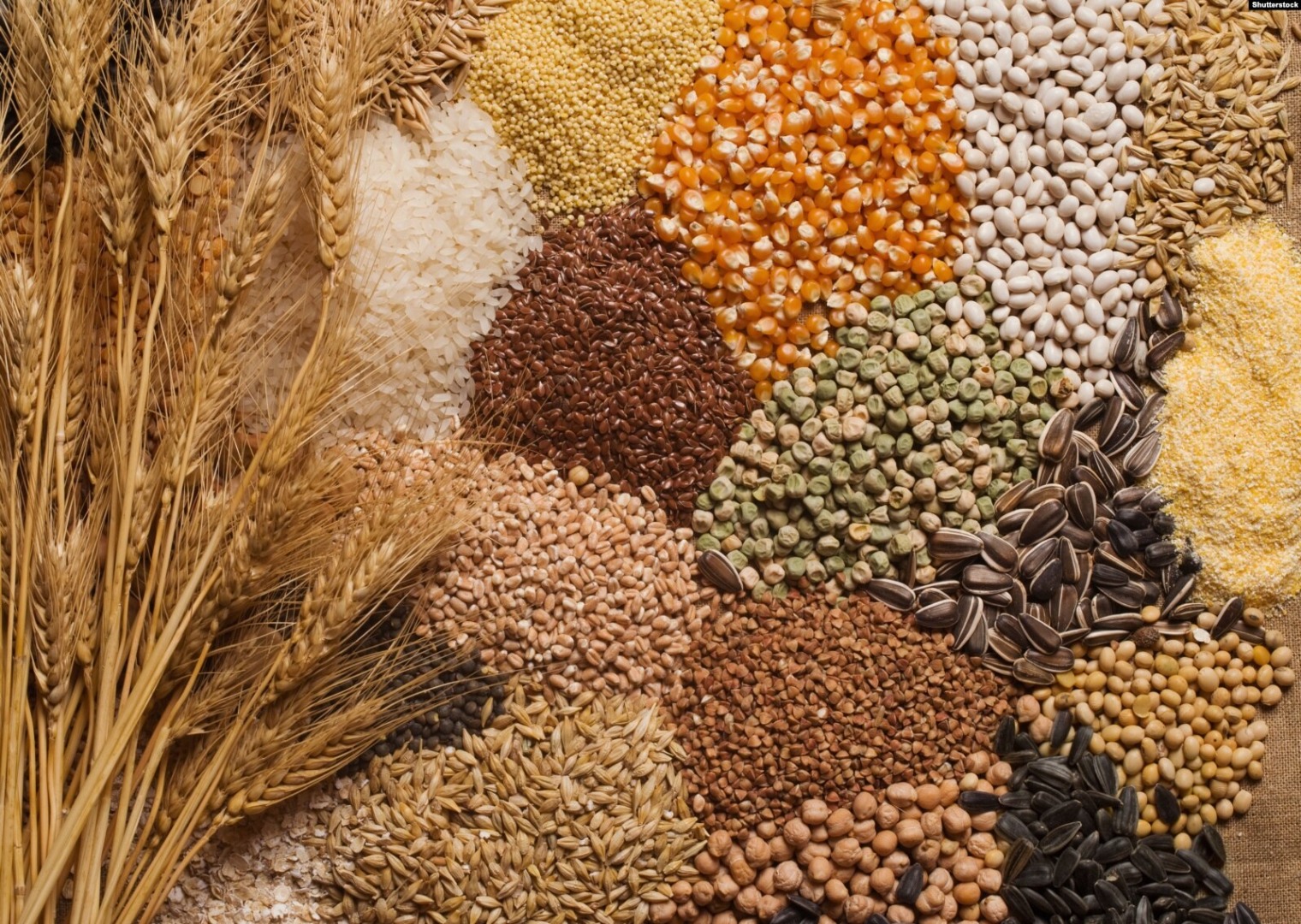 Our company is engaged in the export of agricultural products