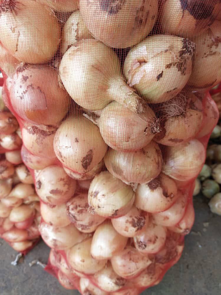 I will sell young onions from Uzbekistan