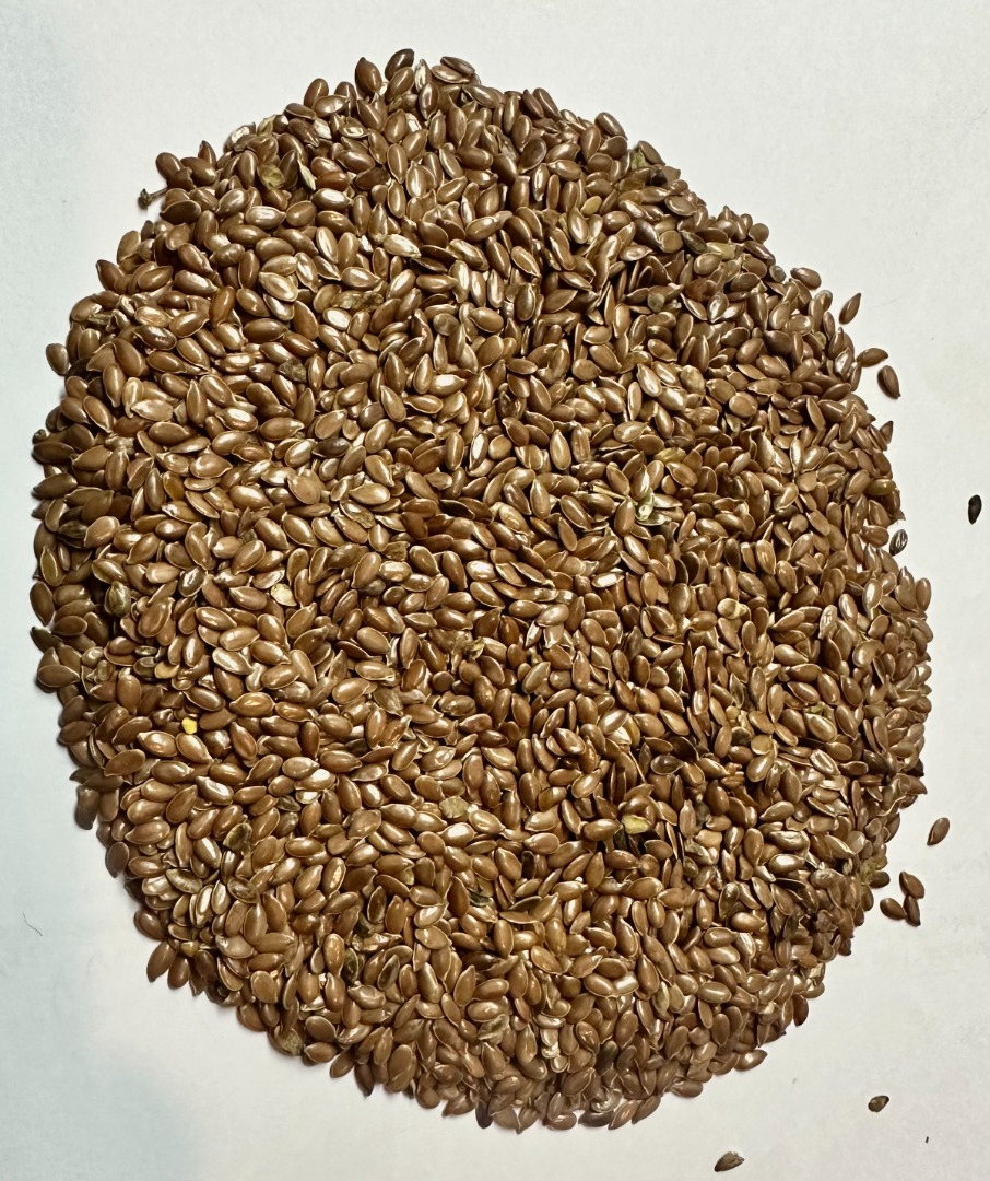 linseed, KZ import, in warehouses in Poland, purity 99%, humidity up to 7.5%