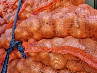 We cordially invite you for onions straight from Egypt