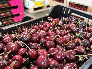 I will sell Cherries Country of origin Spain Variety