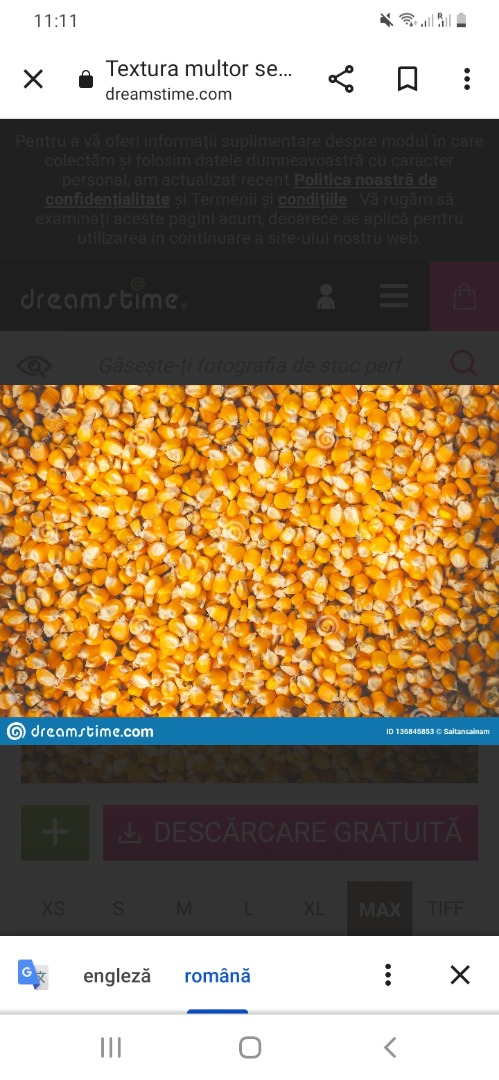 I buy cereals corn, wheat, barley at a good price between 20 and 50 tons with the possibility of home to home delivery