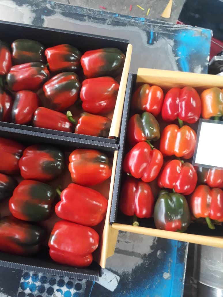 The pepper is imported from Iran with the highest quality pepper available in the market and the lowest price