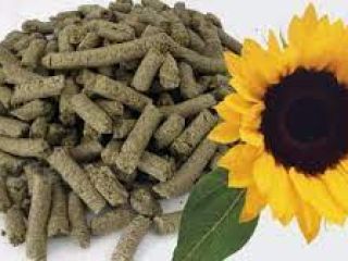 We sell with delivery in Europe sunflower meal and