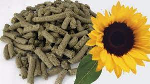 We sell with delivery in Europe sunflower meal and soybean meal (meal is a residual product that is obtained in the process of extracting oil from sunflower