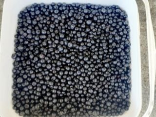 I will sell Blueberry / Red Forest. Super quality.