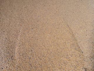 I am selling 45 tons of dry corn. Cuci