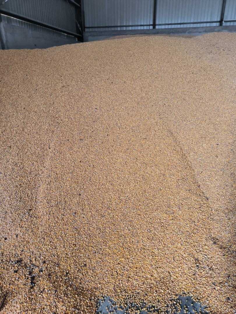 I am selling 45 tons of dry corn