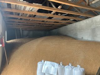 I offer for sale wheat, corn, barley, sunflower, mix