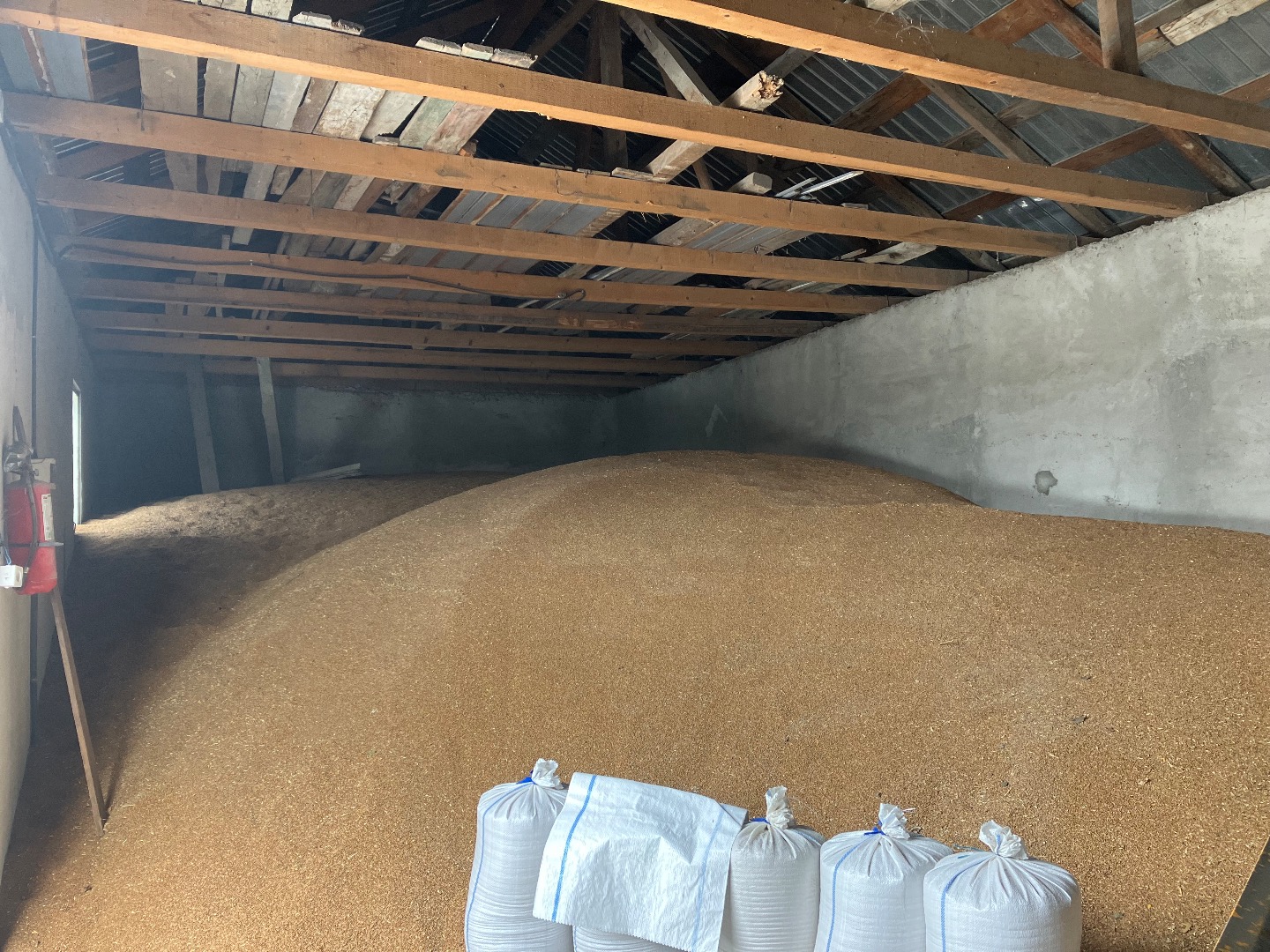 I offer for sale wheat, corn, barley, sunflower, mix for chicken City: Balesti, Vrancea county