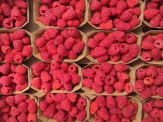 Good morning, I offer dessert raspberries of the Kwanza