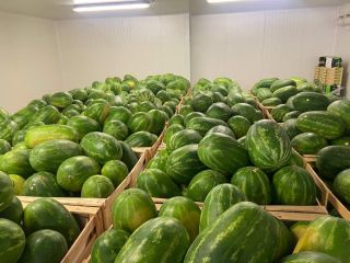 Guten Tag! As a watermelon supplier and exporter, we