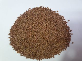 Buckwheat of excellent quality! 100% Prepayment. FCA 565 Euro