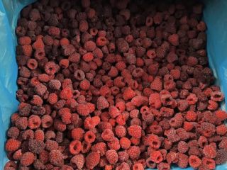As of today, we offer Frozen raspberry bite for