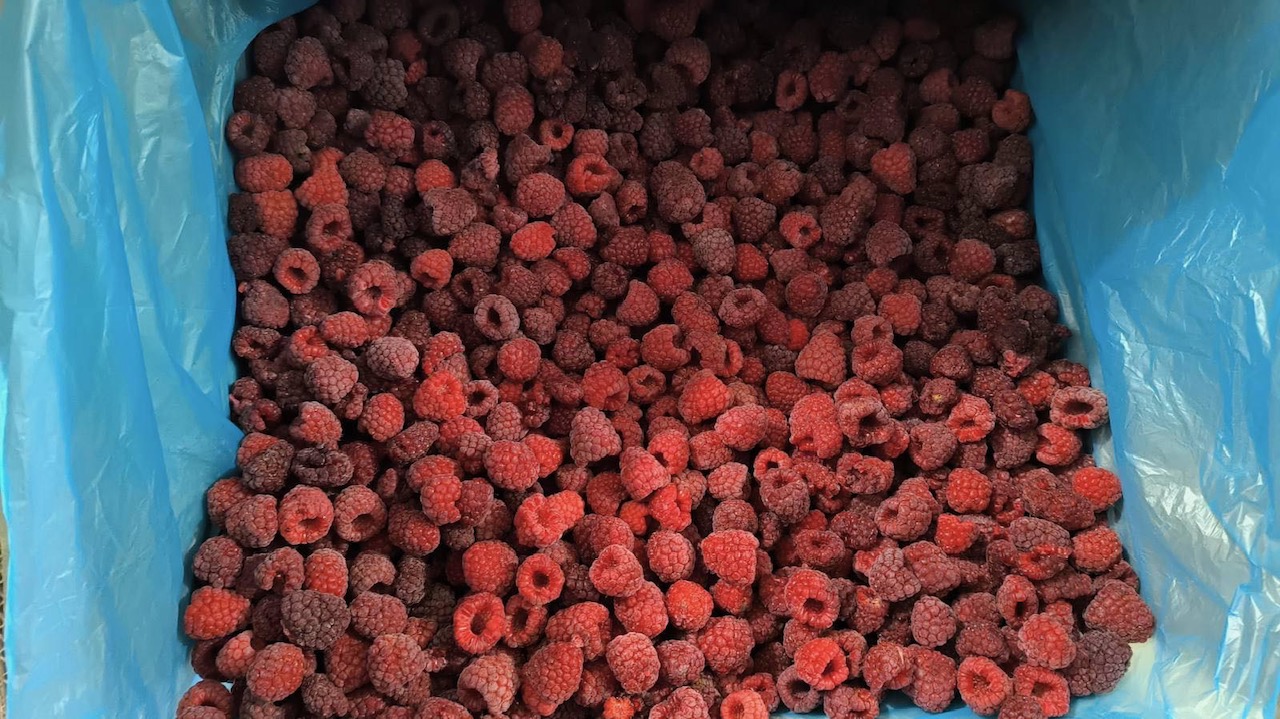 As of today, we offer Frozen raspberry bite for further processing - 1.55 EURO/kg We have 40 tons Frozen raspberry 80/20 - 3.00 EURO/kg We have 20 tons from