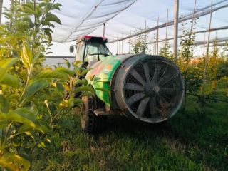 We are looking for new collaborators! Organically certified Golden