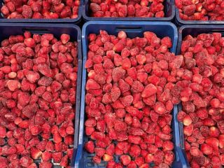FROZEN STRAWBERRY We offer frozen strawberries of the highest