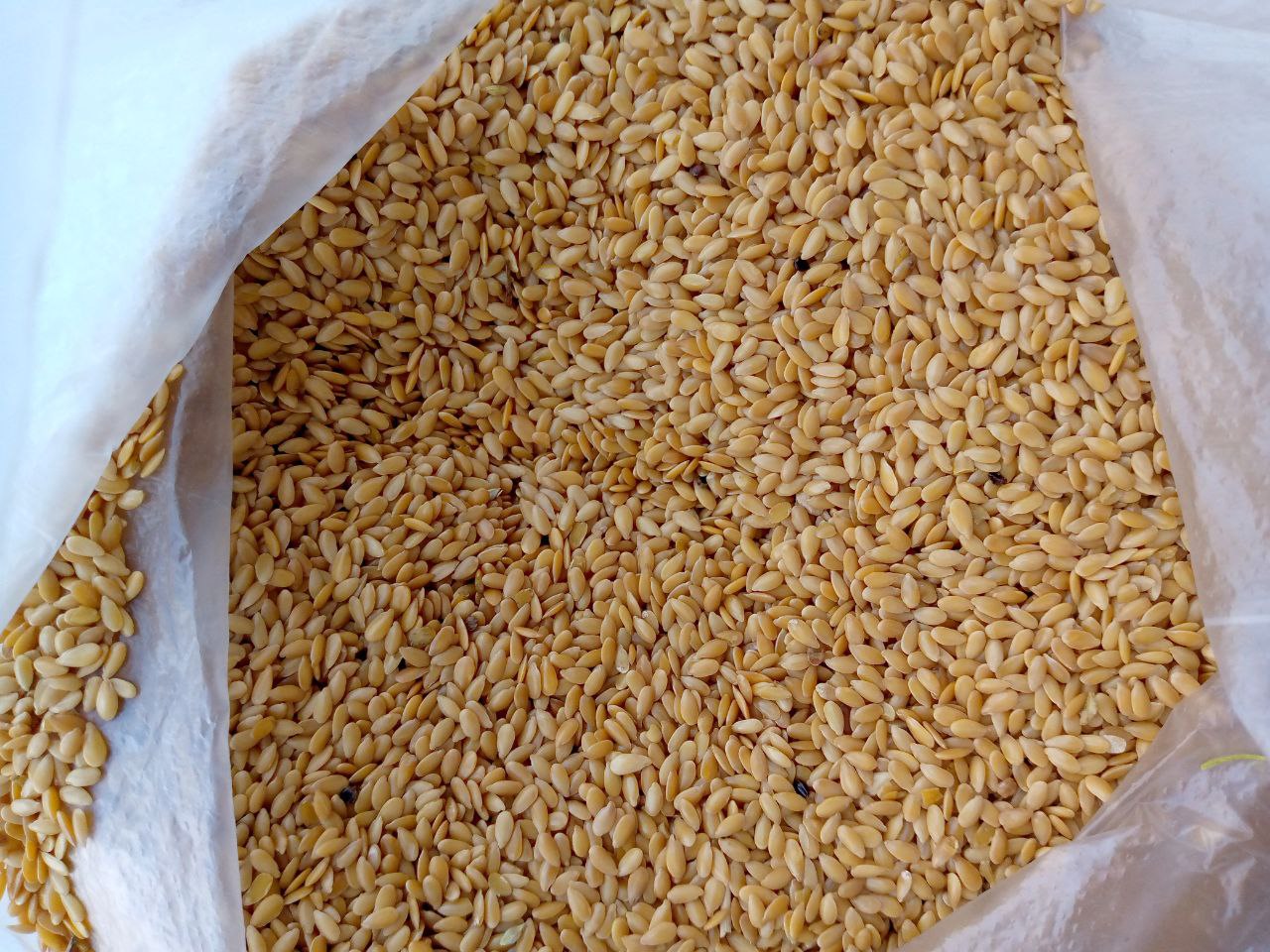 Golden linseed Purity - 98% Moisture content < 9% Haloxyfop-free, residue analysis 400 pesticides < 0.01 mg/kg Big-bags, auto, delivery conditions DAP Origin