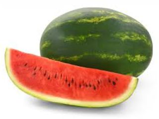 Fresh watermelons grown from experts in the field of