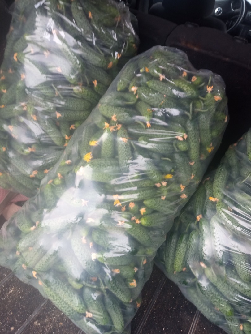 I sell fresh cucumbers