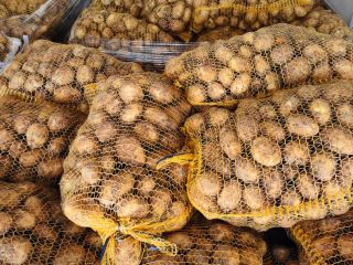 I will sell new potatoes. Fresh goods, dug up