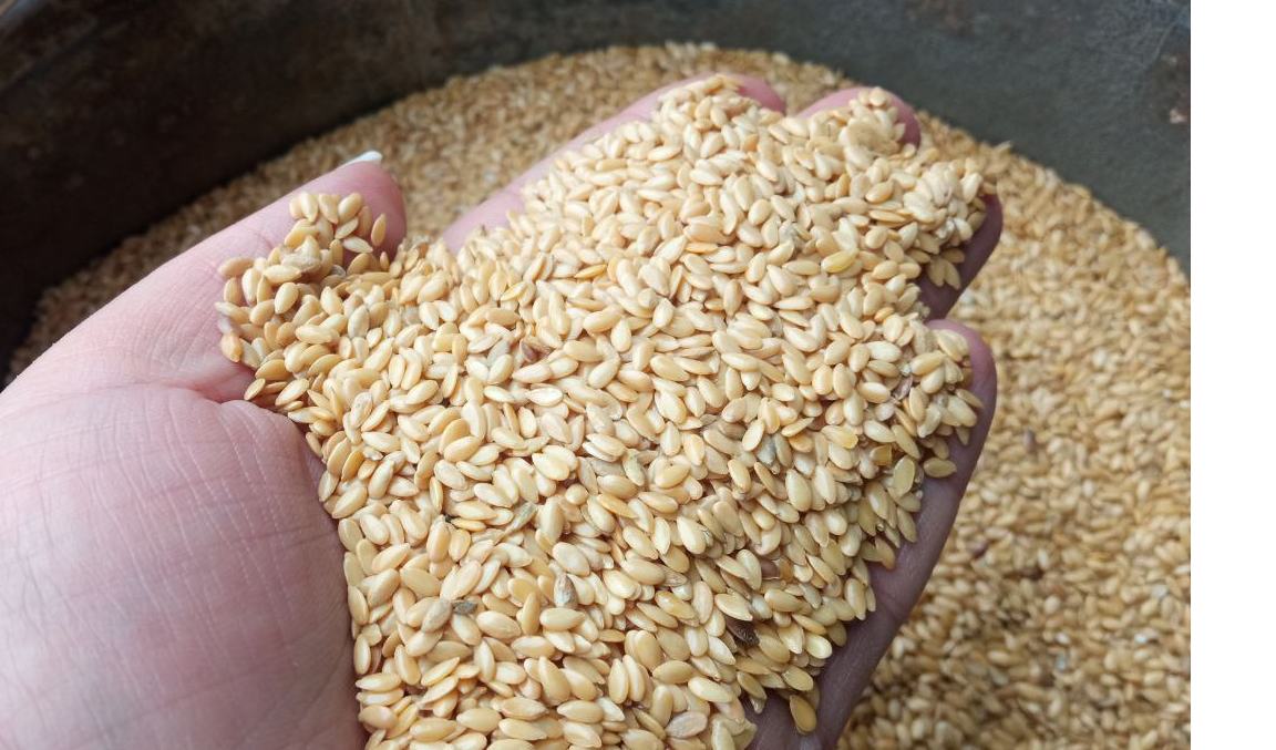 We sell golden flaxseed of own production from Ukraine