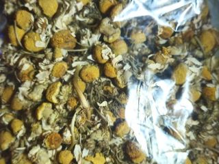 I will sell a chamomile flower Packed by 10